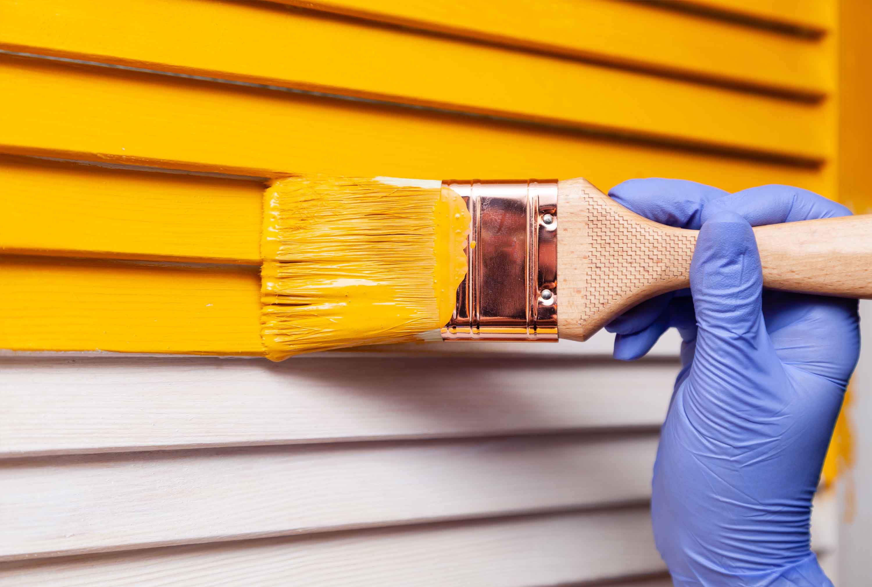 Painters-Gurugram Capitals