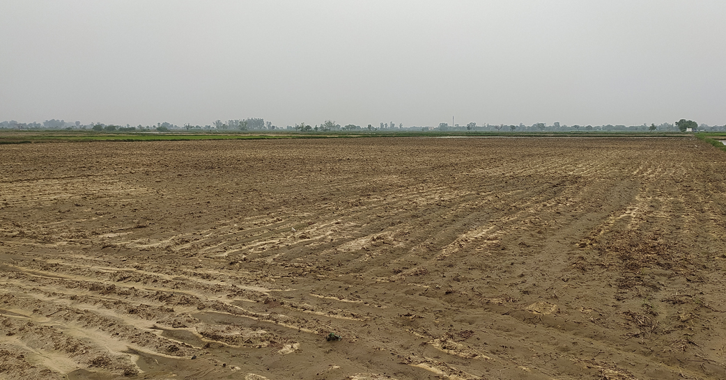 Agricultural Land for Sale