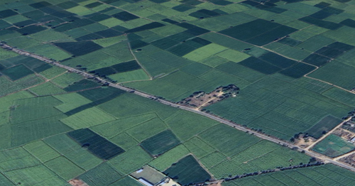 Agricultural Land for Sale