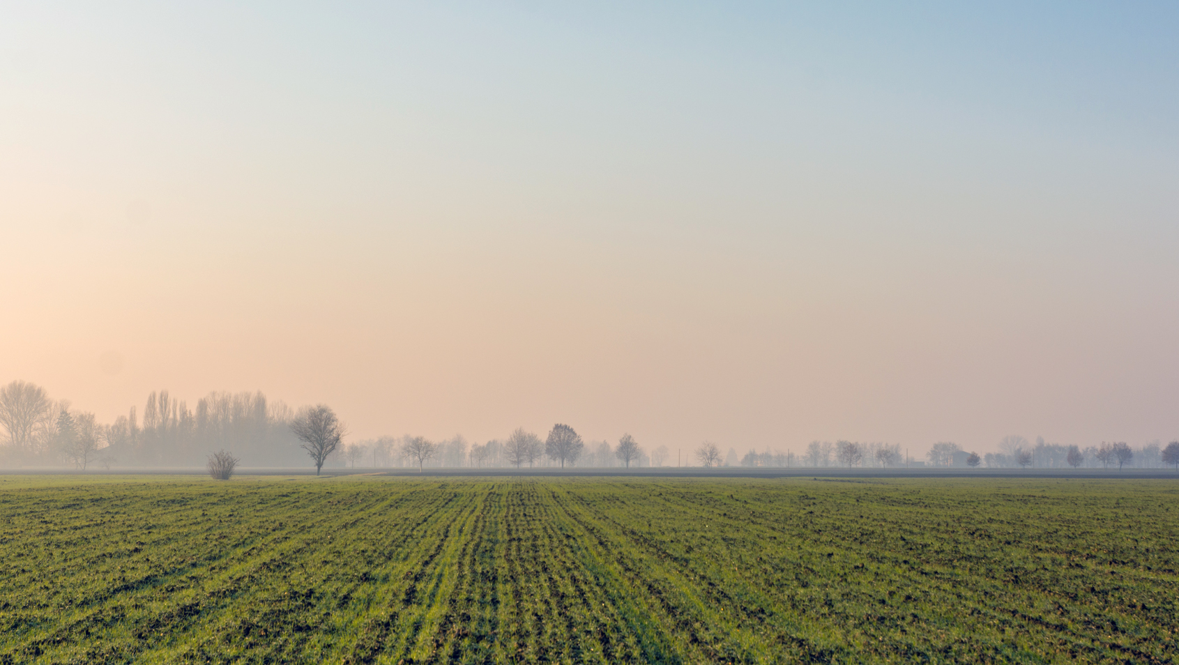 Agricultural Land  for Sale