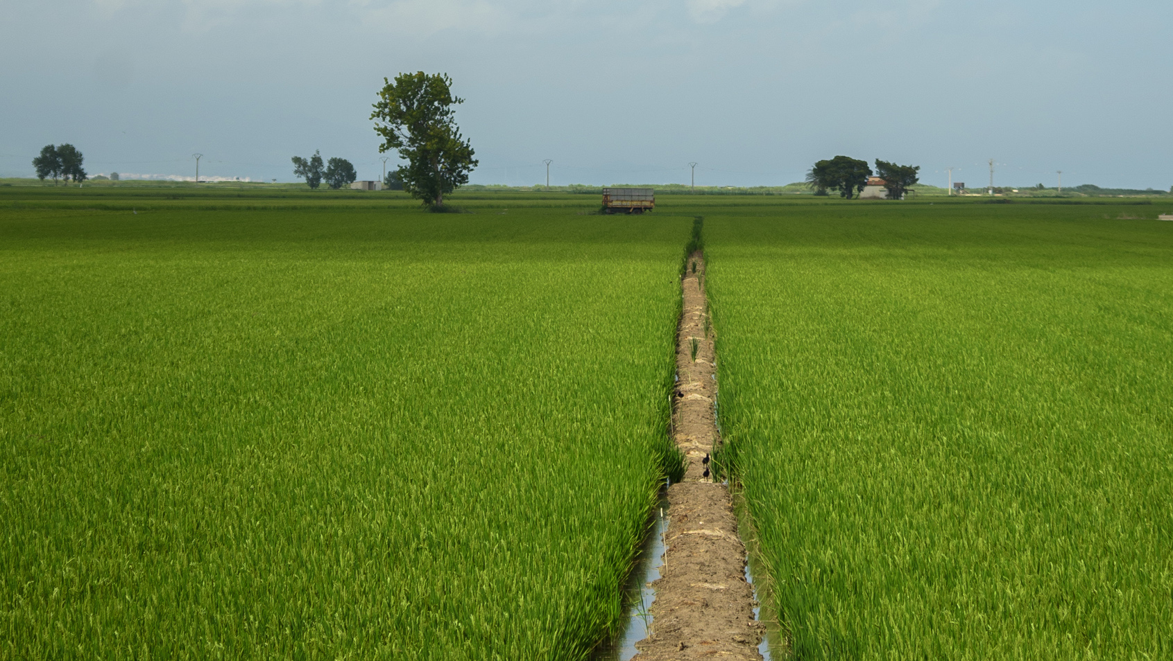 R-Zone Land for Sale