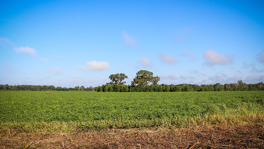 R-Zone Land for Sale