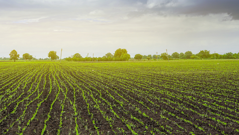 R-Zone Land for Sale