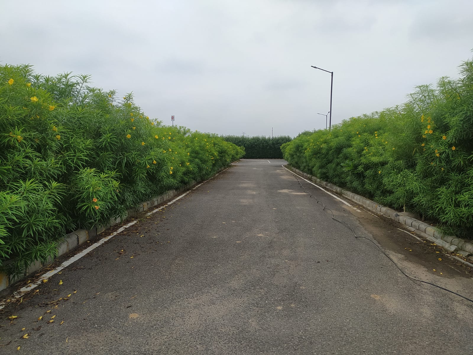 Residential Plot for Sale